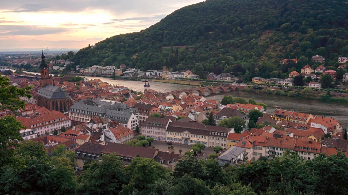 Heidelberg Üniversitesi